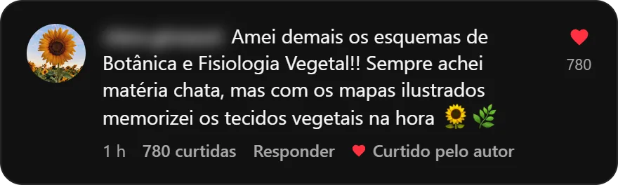 Depoimento 33